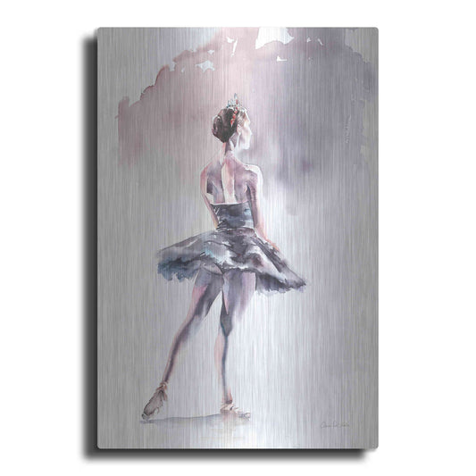 Luxe Metal Art 'Ballet I' by Alan Majchrowicz, Metal Wall Art