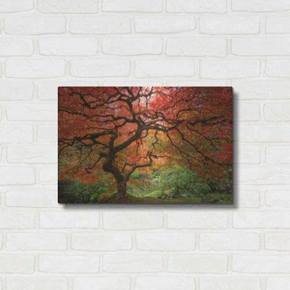 Luxe Metal Art 'Japenese Maple' by Jesse Estes, Metal Wall Art,24x16