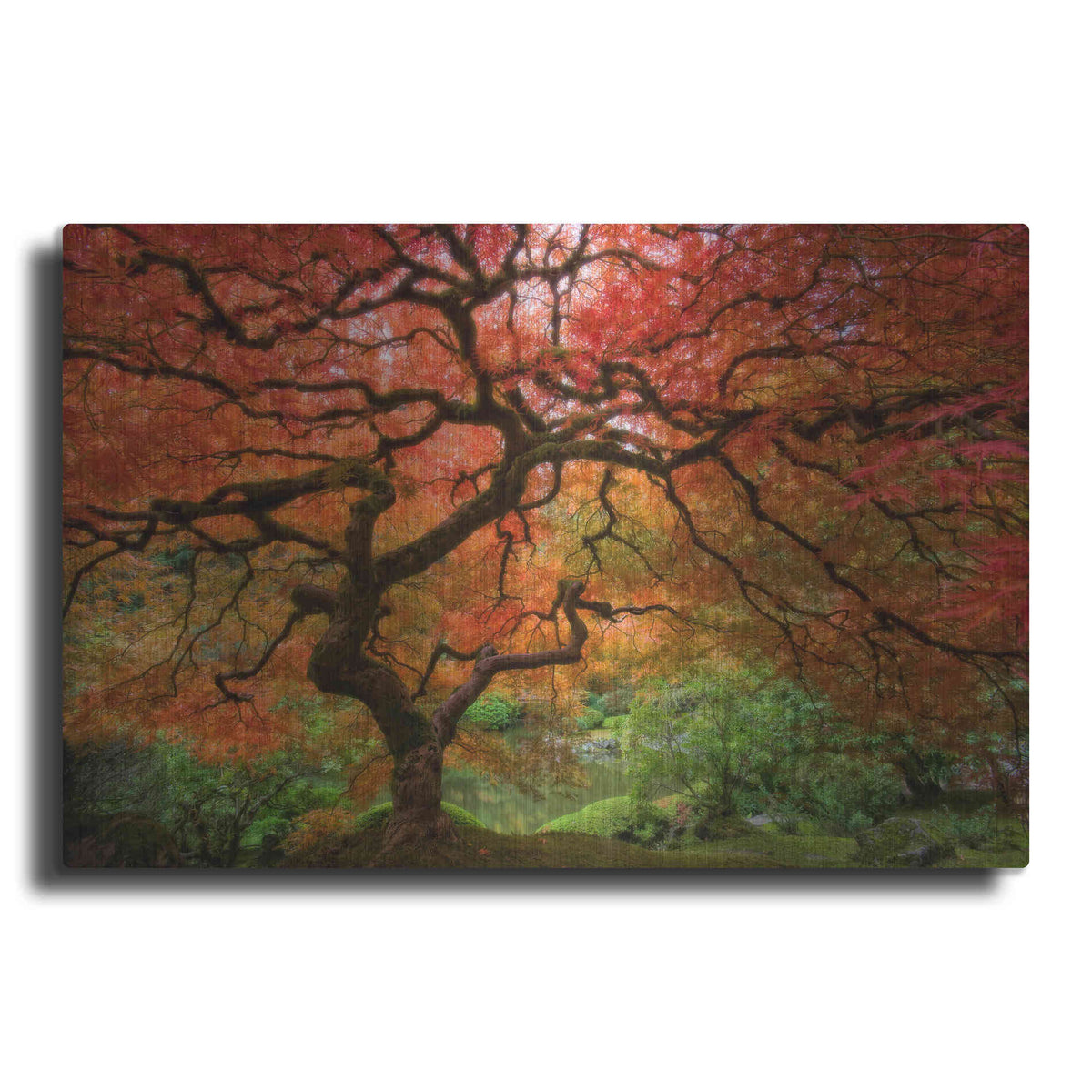 Luxe Metal Art 'Japenese Maple' by Jesse Estes, Metal Wall Art
