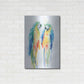 Luxe Metal Art 'Colorful Parrots I' by Alan Majchrowicz, Metal Wall Art,24x36