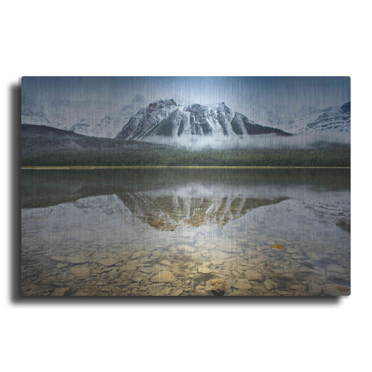 Luxe Metal Art 'Waterfowl Lake I' by Alan Majchrowicz, Metal Wall Art