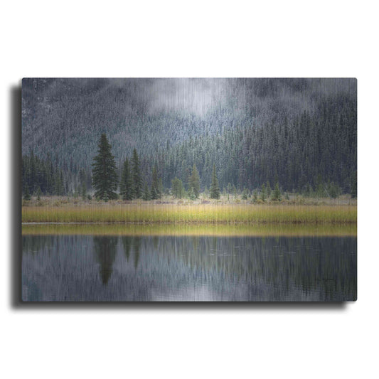 Luxe Metal Art 'Waterfowl Lake II' by Alan Majchrowicz, Metal Wall Art