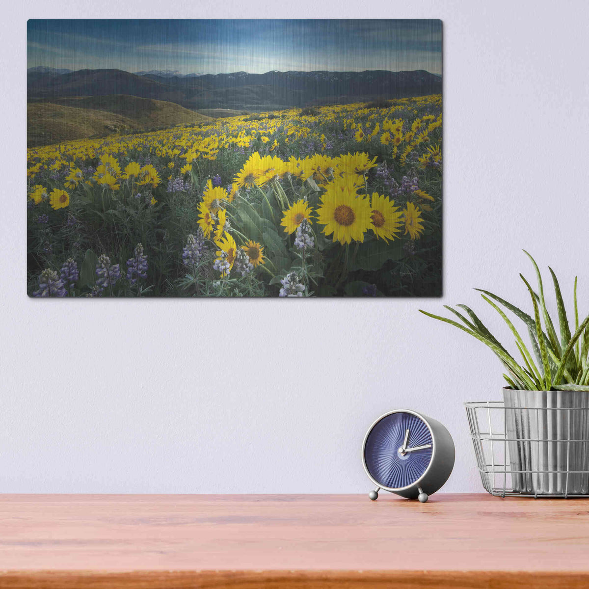 Luxe Metal Art 'Methow Valley Wildflowers IV' by Alan Majchrowicz, Metal Wall Art,16x12