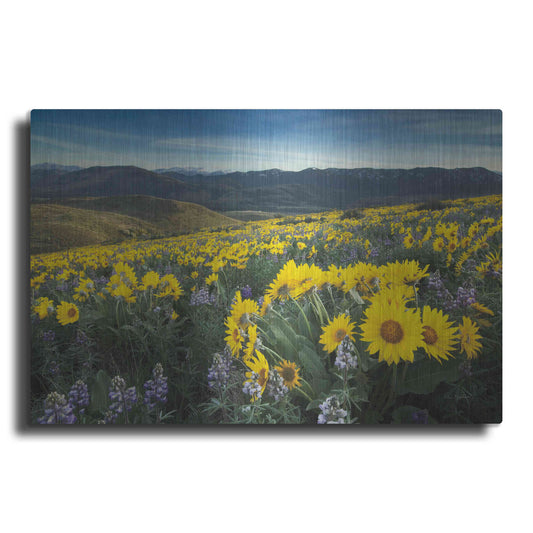 Luxe Metal Art 'Methow Valley Wildflowers IV' by Alan Majchrowicz, Metal Wall Art