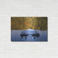Luxe Metal Art 'Amherst Lake' by Alan Majchrowicz, Metal Wall Art,36x24