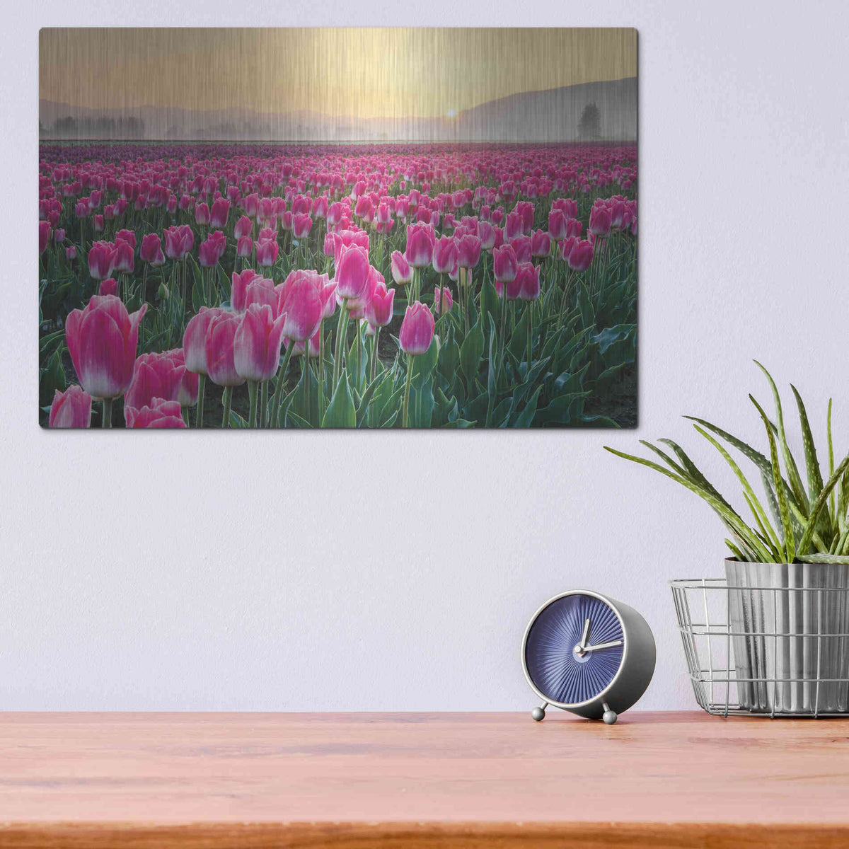 Luxe Metal Art 'Skagit Valley Tulips I' by Alan Majchrowicz, Metal Wall Art,16x12
