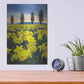 Luxe Metal Art 'Skagit Valley Daffodils I' by Alan Majchrowicz,Metal Wall Art,12x16