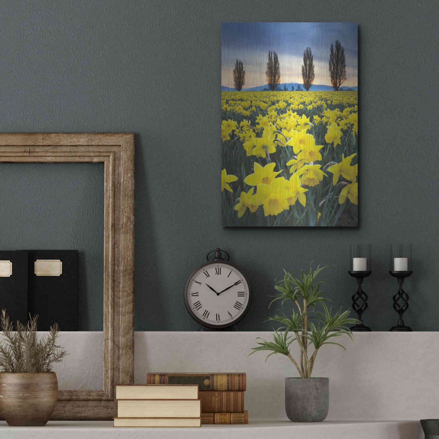 Luxe Metal Art 'Skagit Valley Daffodils I' by Alan Majchrowicz,Metal Wall Art,12x16