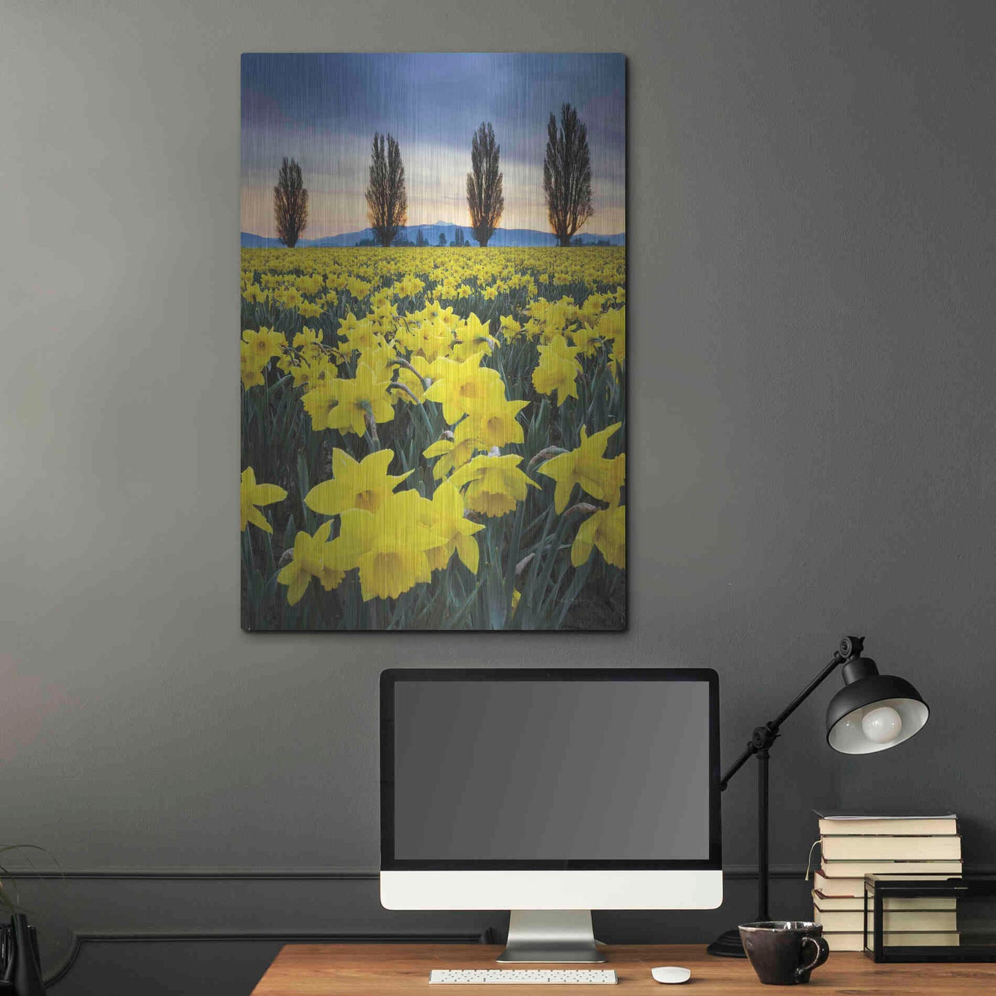 Luxe Metal Art 'Skagit Valley Daffodils I' by Alan Majchrowicz,Metal Wall Art,24x36