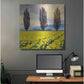 Luxe Metal Art 'Skagit Valley Daffodils II' by Alan Majchrowicz,Metal Wall Art,36x36