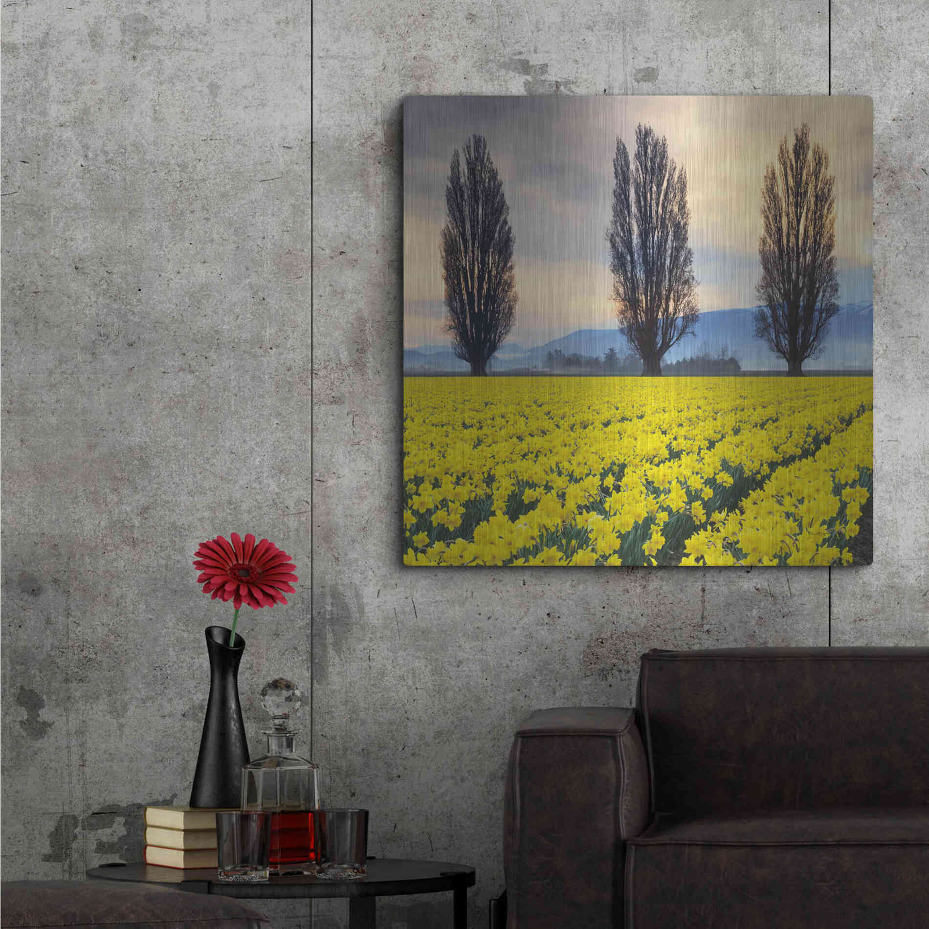Luxe Metal Art 'Skagit Valley Daffodils II' by Alan Majchrowicz,Metal Wall Art,36x36