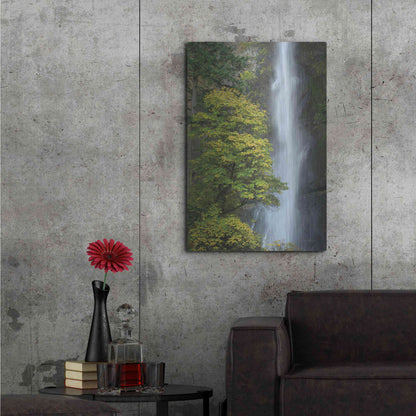 Luxe Metal Art 'Multnomah Falls color' by Alan Majchrowicz,Metal Wall Art,24x36