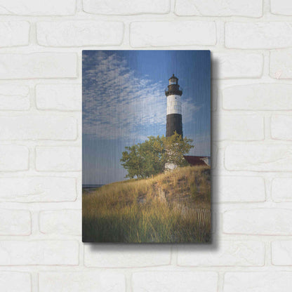 Luxe Metal Art 'Big Sable Point Lighthouse II' by Alan Majchrowicz,Metal Wall Art,12x16