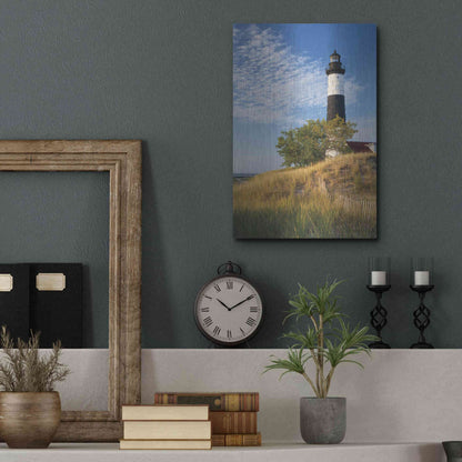 Luxe Metal Art 'Big Sable Point Lighthouse II' by Alan Majchrowicz,Metal Wall Art,12x16