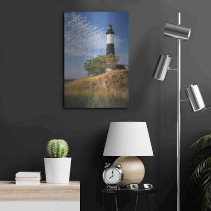 Luxe Metal Art 'Big Sable Point Lighthouse II' by Alan Majchrowicz,Metal Wall Art,16x24