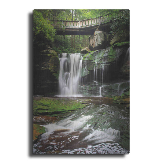 Luxe Metal Art 'Elakala Falls West I' by Alan Majchrowicz,Metal Wall Art