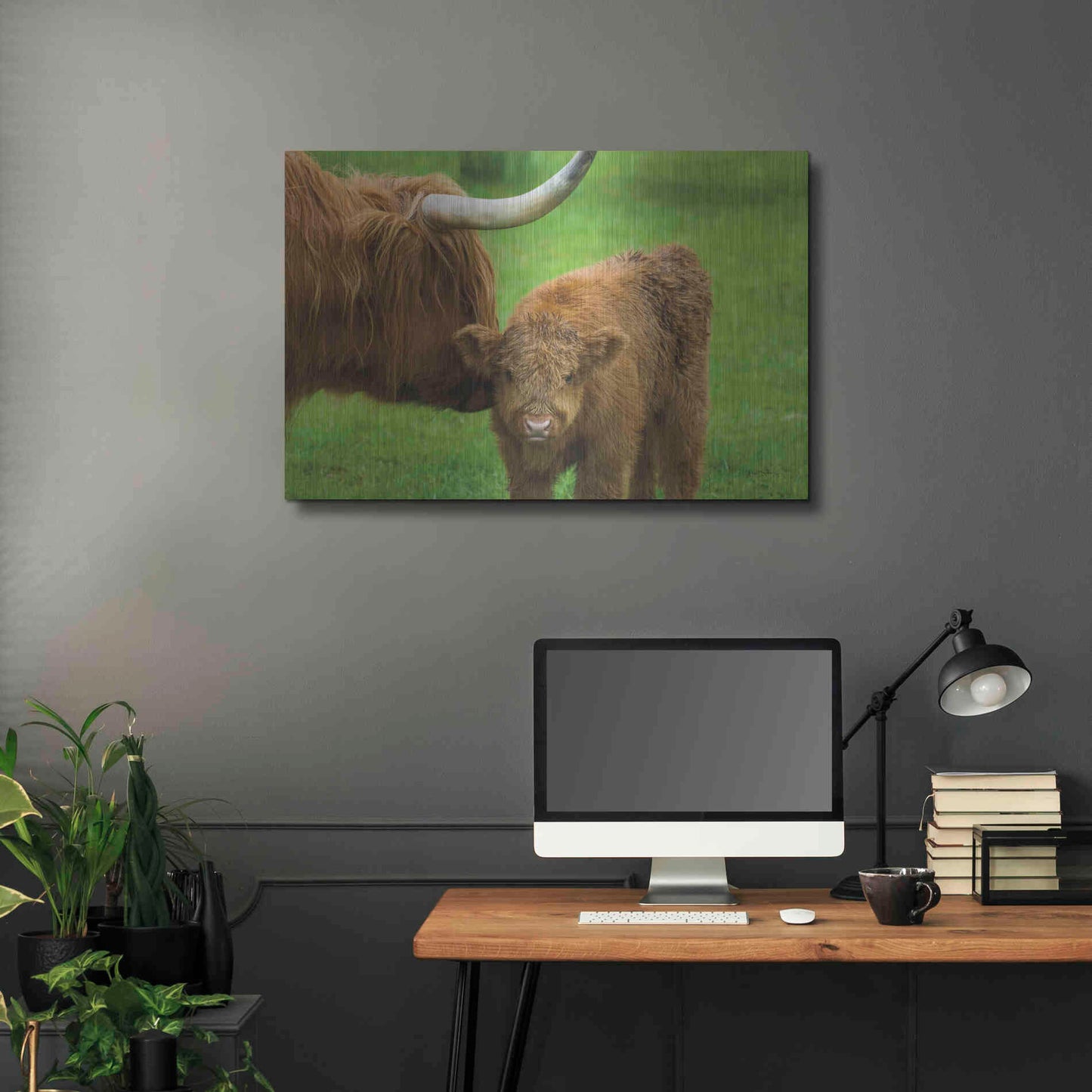 Luxe Metal Art 'Scottish Highland Cattle VII' by Alan Majchrowicz,Metal Wall Art,36x24