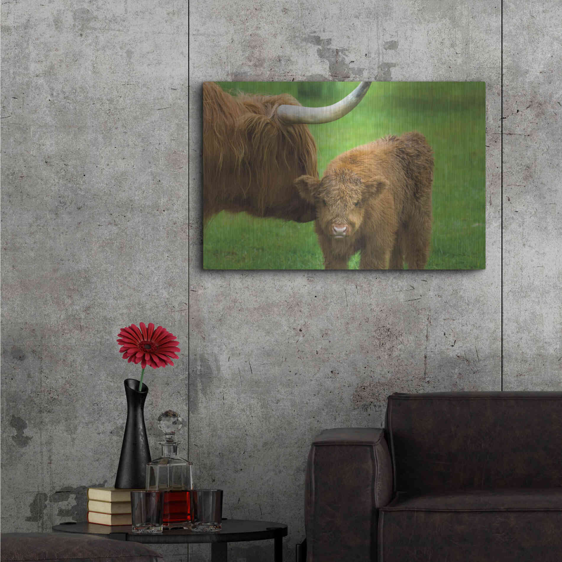 Luxe Metal Art 'Scottish Highland Cattle VII' by Alan Majchrowicz,Metal Wall Art,36x24