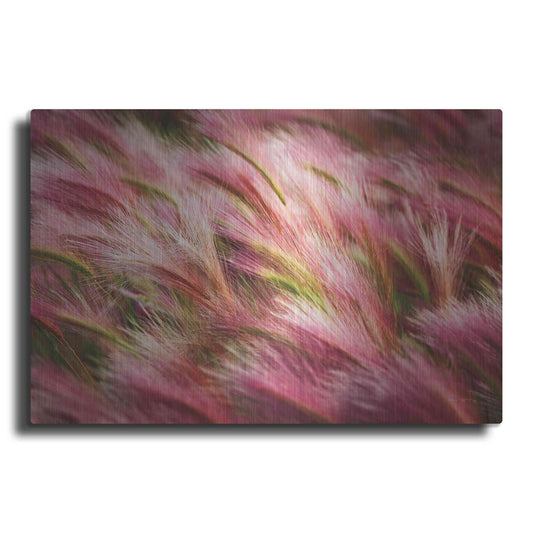 Luxe Metal Art 'Foxtail Barley II' by Alan Majchrowicz,Metal Wall Art