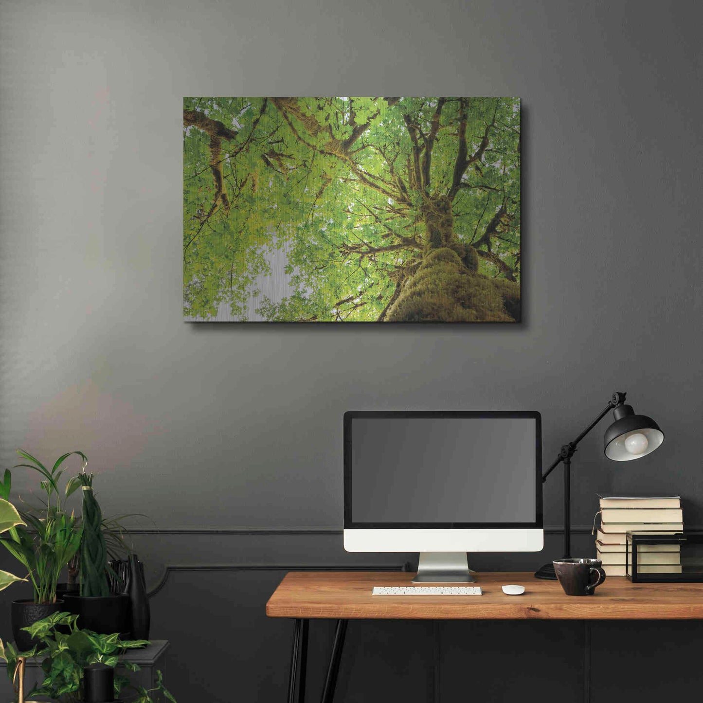 Luxe Metal Art 'Big Leaf Maple Trees II' by Alan Majchrowicz,Metal Wall Art,36x24