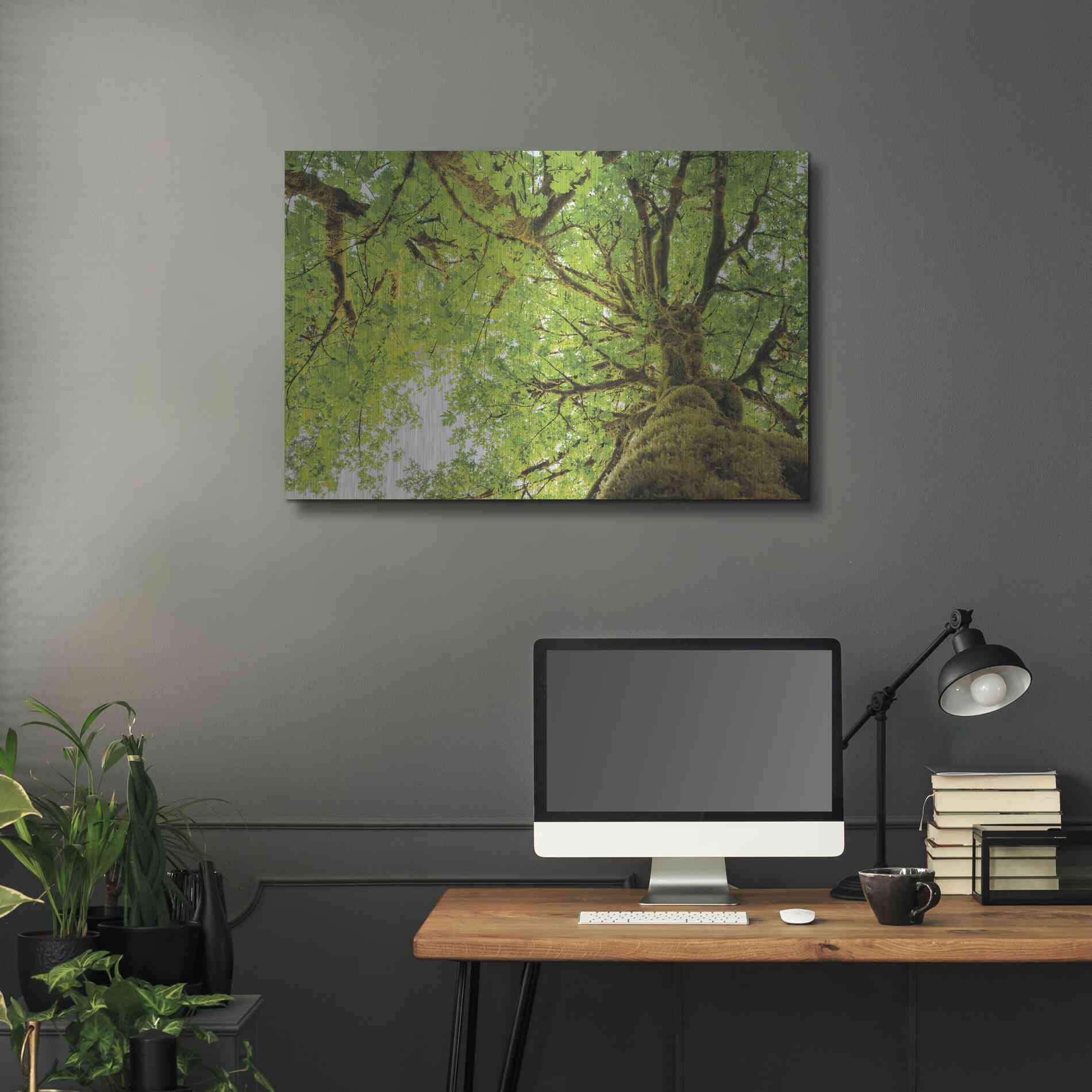 Luxe Metal Art 'Big Leaf Maple Trees II' by Alan Majchrowicz,Metal Wall Art,36x24