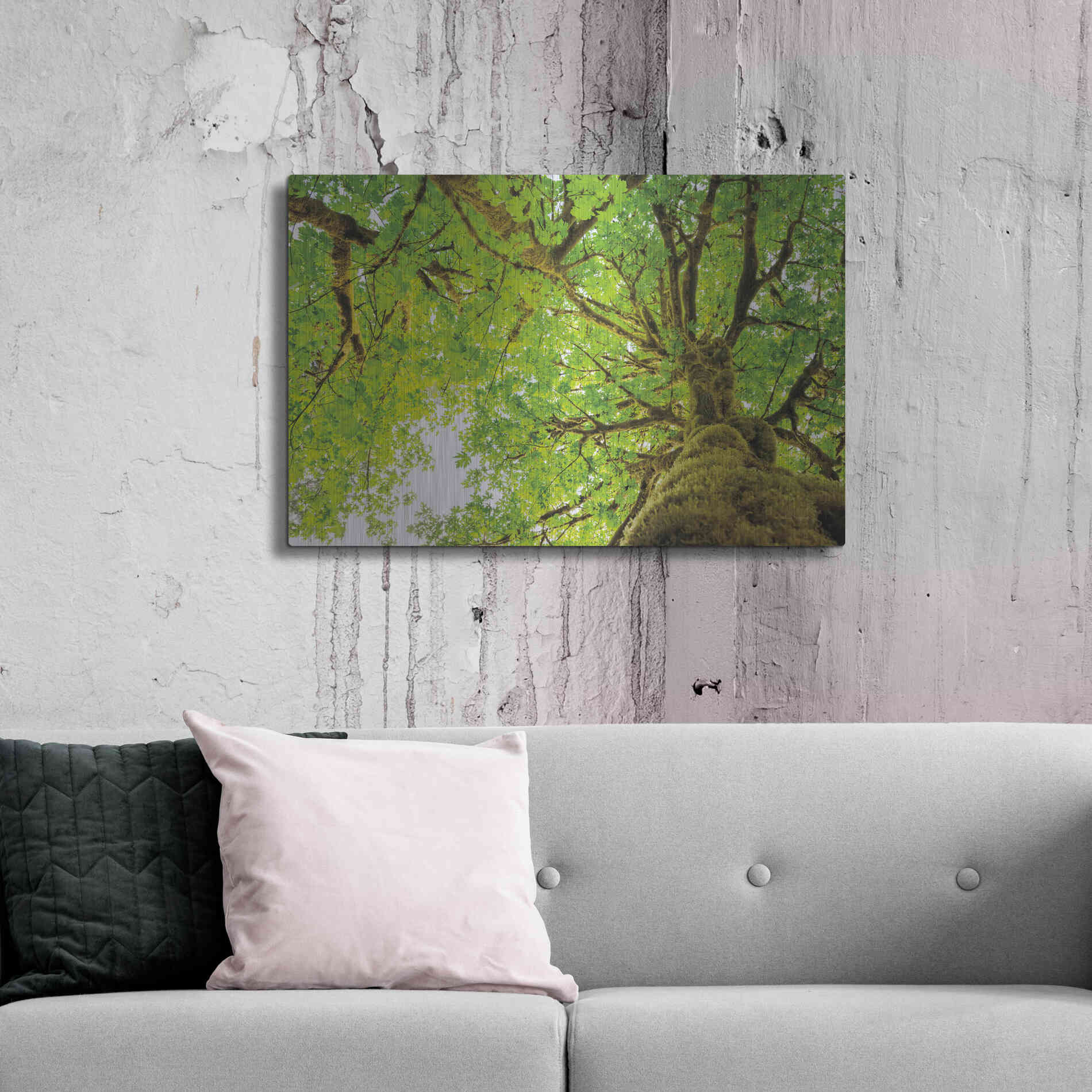 Luxe Metal Art 'Big Leaf Maple Trees II' by Alan Majchrowicz,Metal Wall Art,36x24