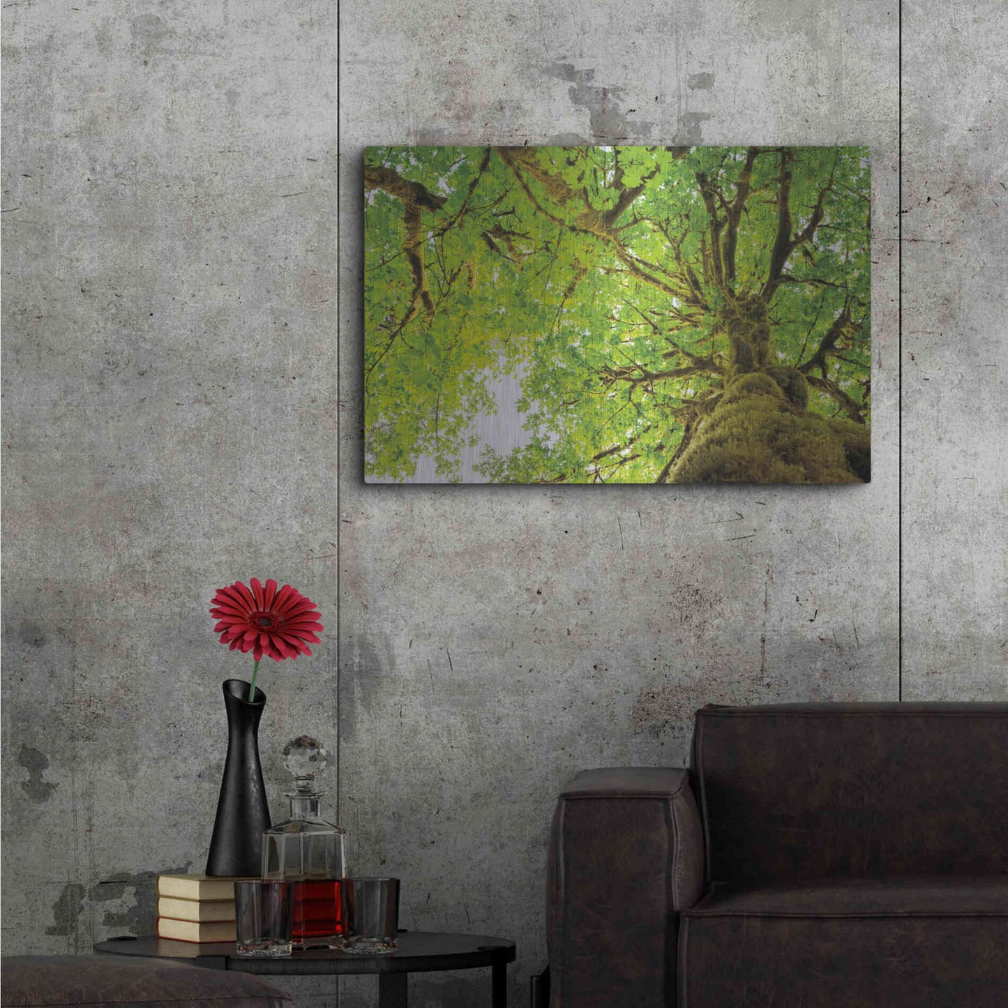 Luxe Metal Art 'Big Leaf Maple Trees II' by Alan Majchrowicz,Metal Wall Art,36x24