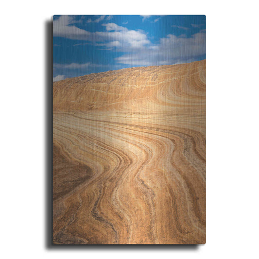 Luxe Metal Art 'Coyote Buttes V' by Alan Majchrowicz,Metal Wall Art