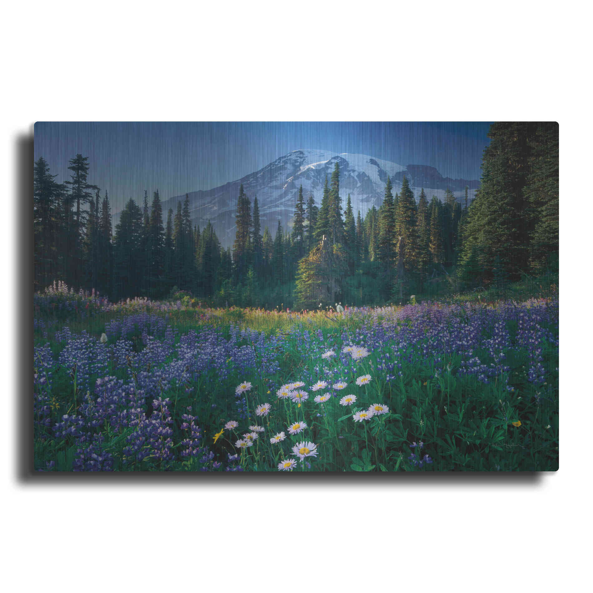 Luxe Metal Art 'Mount Rainier' by Alan Majchrowicz,Metal Wall Art