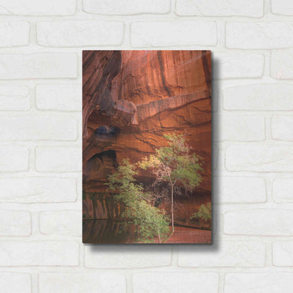 Luxe Metal Art 'Neon Canyon III' by Alan Majchrowicz,Metal Wall Art,12x16