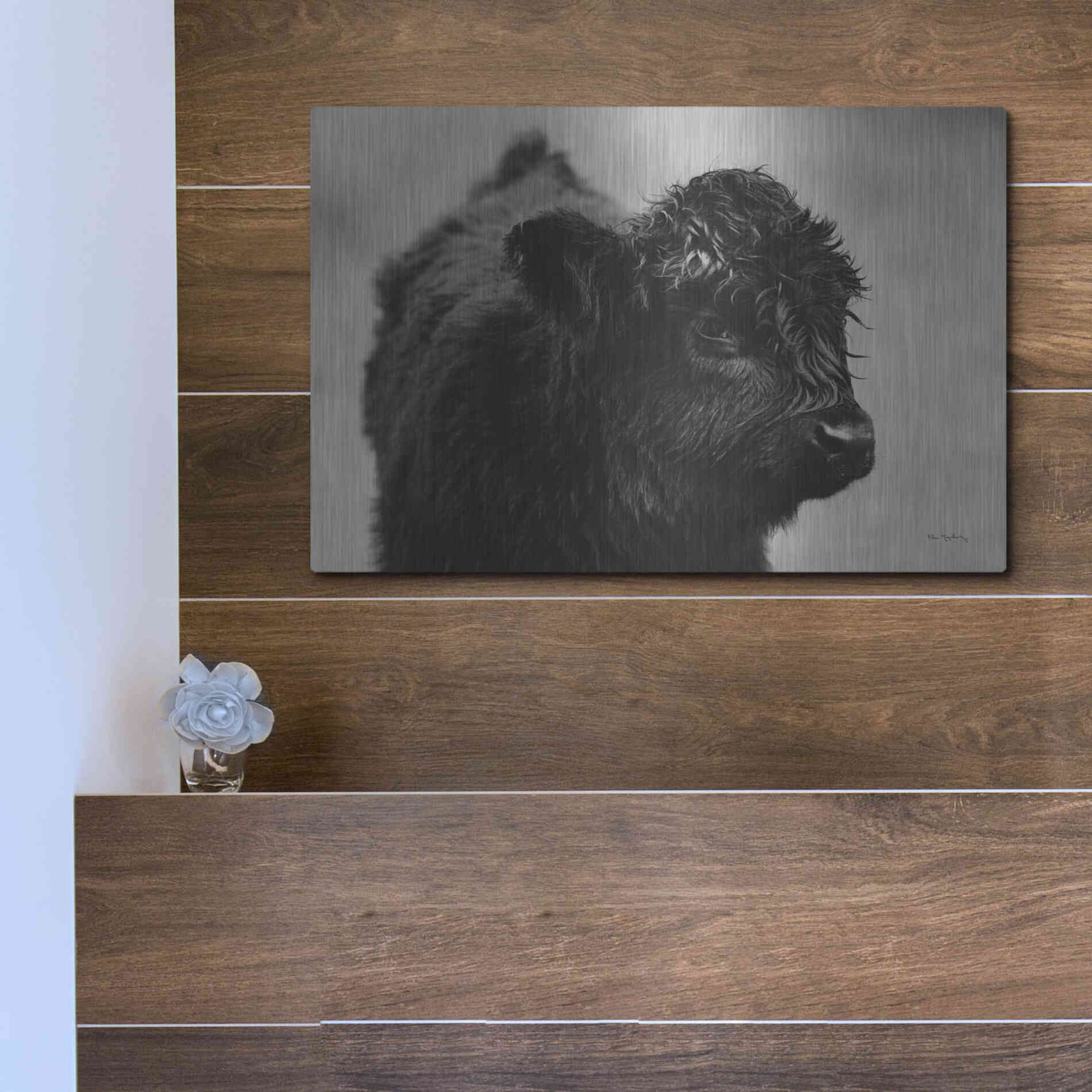 Luxe Metal Art 'Scottish Highland Cattle XI BW' by Alan Majchrowicz,Metal Wall Art,16x12