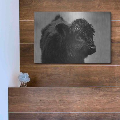 Luxe Metal Art 'Scottish Highland Cattle XI BW' by Alan Majchrowicz,Metal Wall Art,16x12