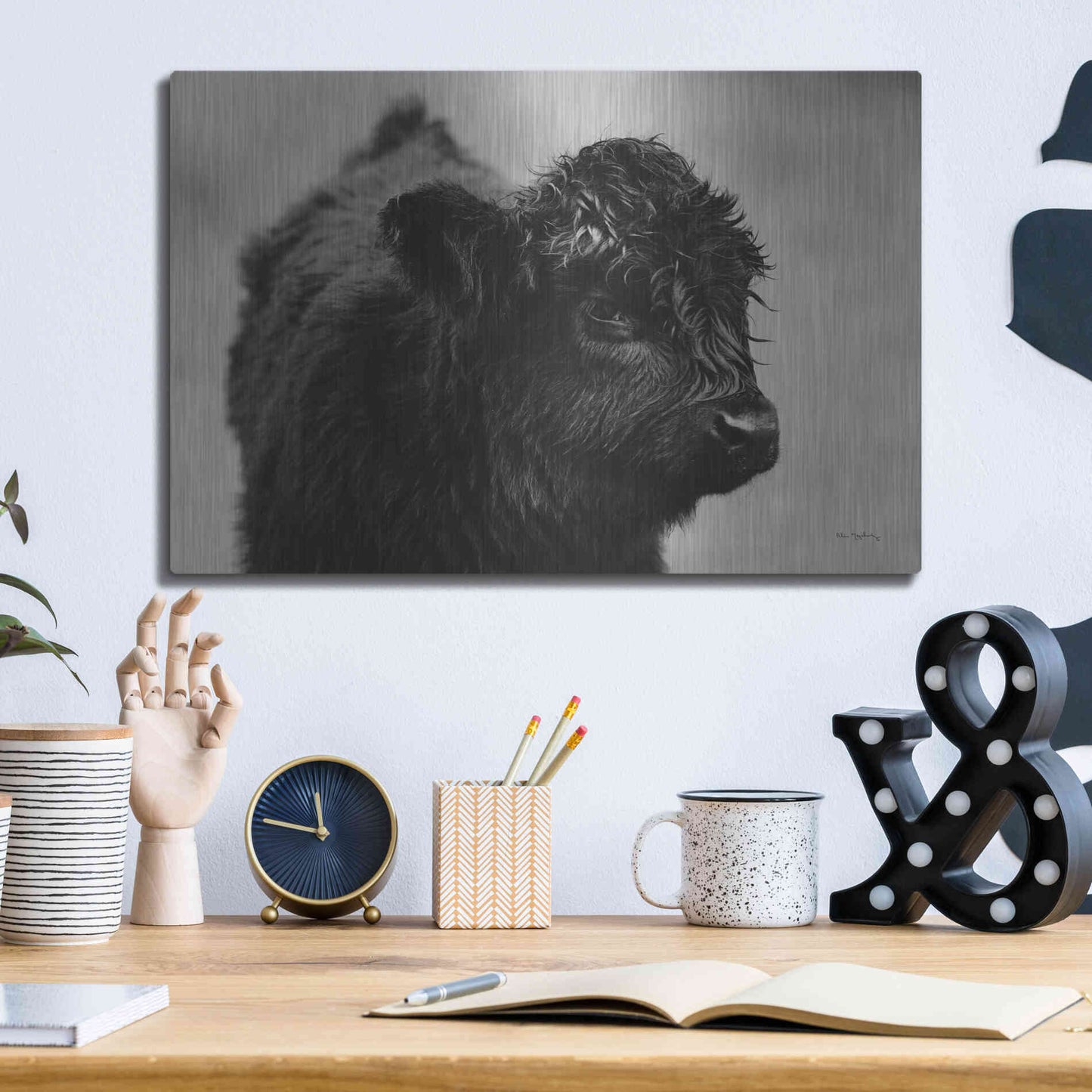 Luxe Metal Art 'Scottish Highland Cattle XI BW' by Alan Majchrowicz,Metal Wall Art,16x12