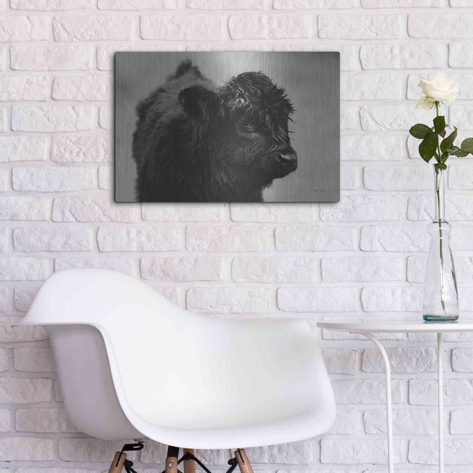 Luxe Metal Art 'Scottish Highland Cattle XI BW' by Alan Majchrowicz,Metal Wall Art,24x16