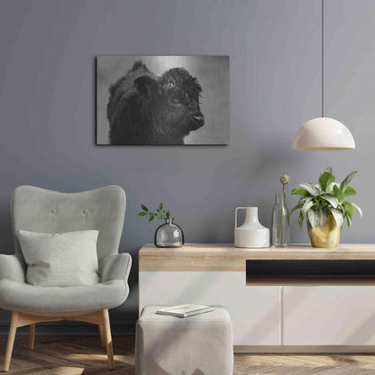 Luxe Metal Art 'Scottish Highland Cattle XI BW' by Alan Majchrowicz,Metal Wall Art,24x16