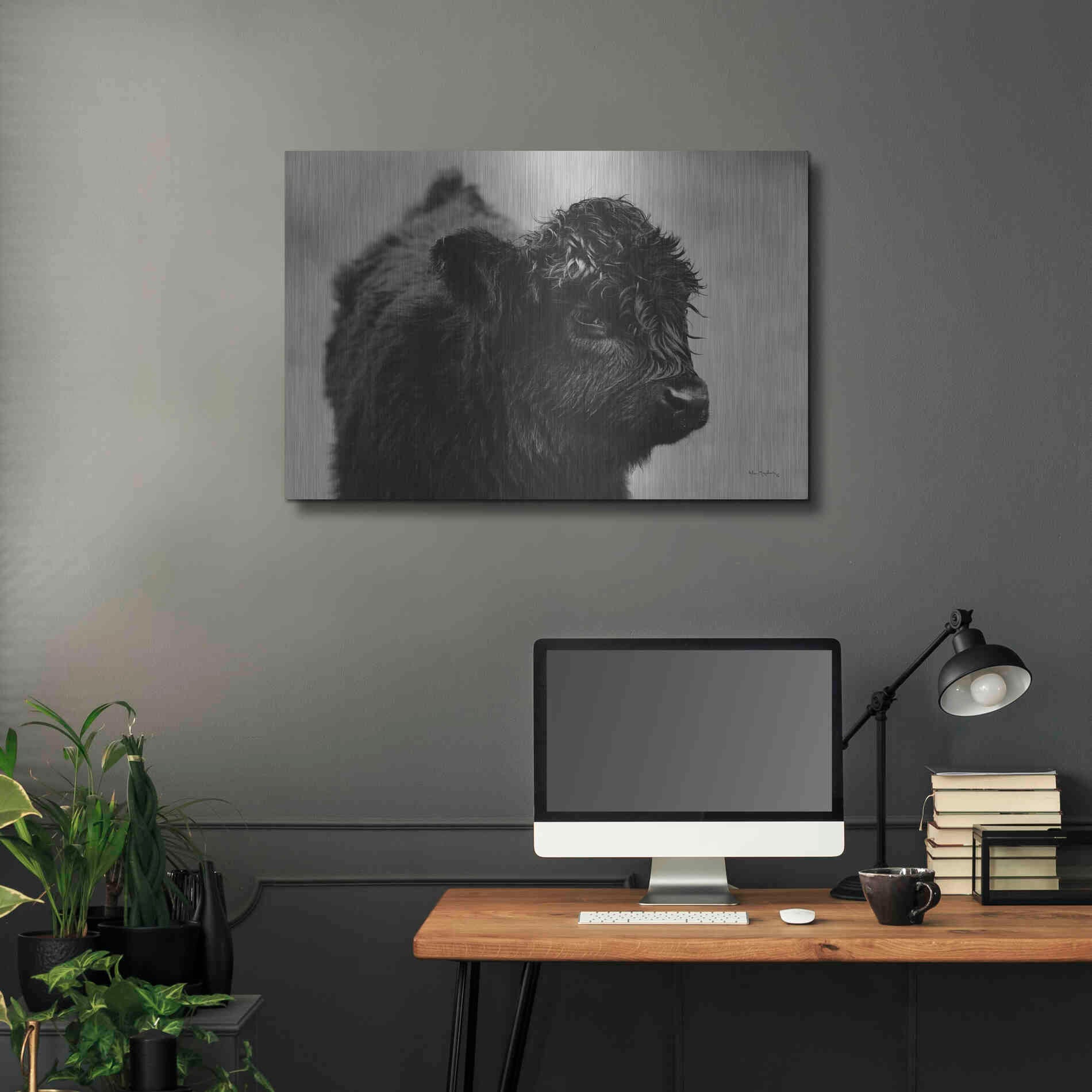 Luxe Metal Art 'Scottish Highland Cattle XI BW' by Alan Majchrowicz,Metal Wall Art,36x24