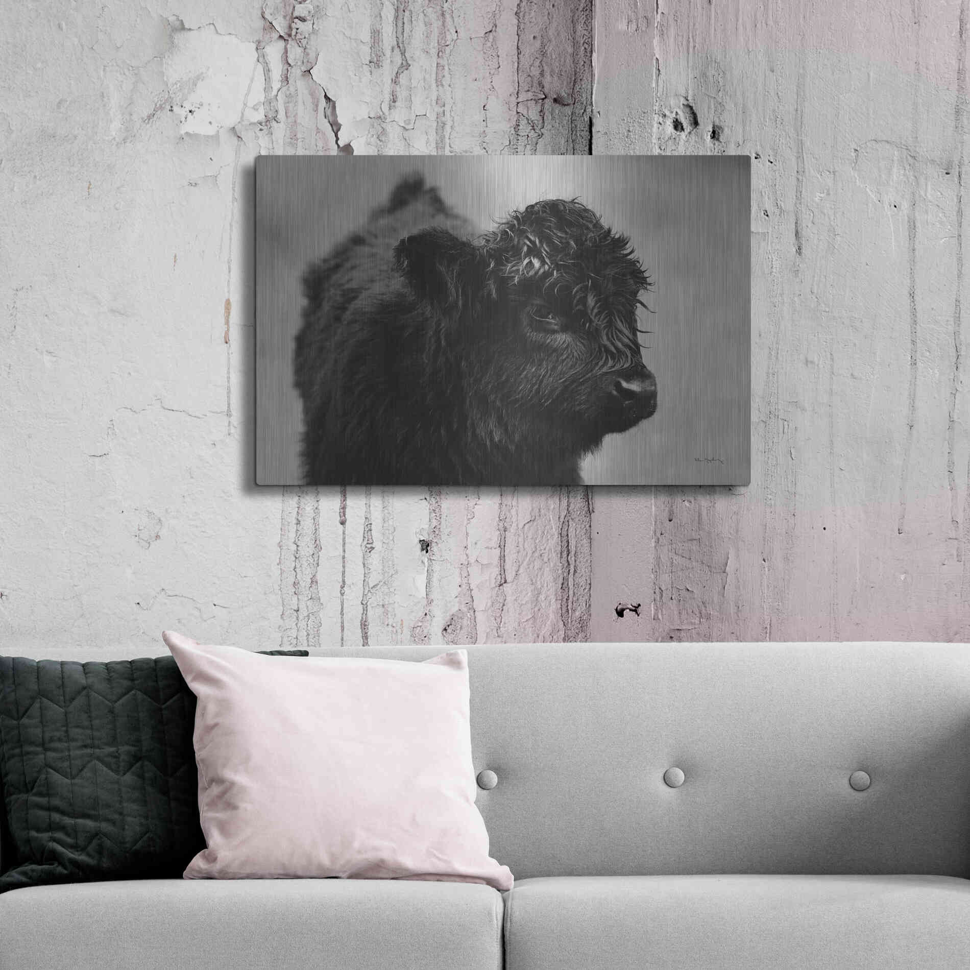 Luxe Metal Art 'Scottish Highland Cattle XI BW' by Alan Majchrowicz,Metal Wall Art,36x24