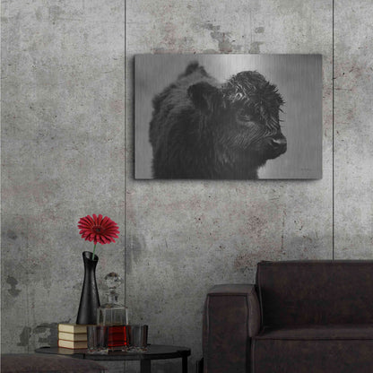 Luxe Metal Art 'Scottish Highland Cattle XI BW' by Alan Majchrowicz,Metal Wall Art,36x24