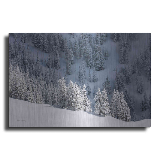 Luxe Metal Art 'North Cascades in Winter III' by Alan Majchrowicz,Metal Wall Art