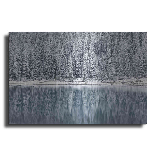 Luxe Metal Art 'Winter Reflections' by Alan Majchrowicz,Metal Wall Art