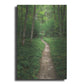 Luxe Metal Art 'North Country Trail' by Alan Majchrowicz,Metal Wall Art
