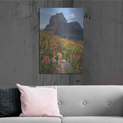 Luxe Metal Art 'Boulder Pass Wildflowers' by Alan Majchrowicz,Metal Wall Art,24x36