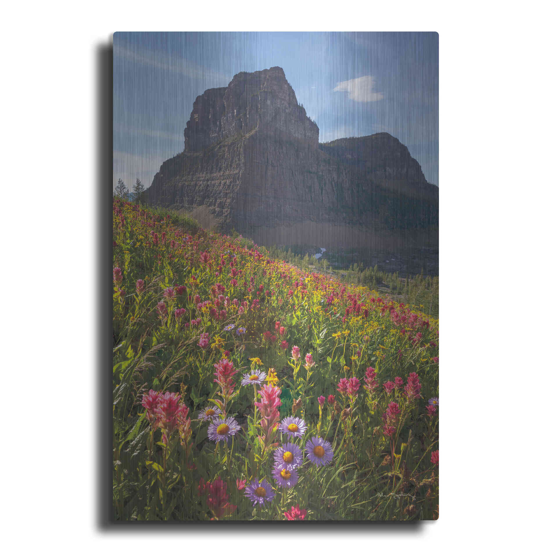 Luxe Metal Art 'Boulder Pass Wildflowers' by Alan Majchrowicz,Metal Wall Art