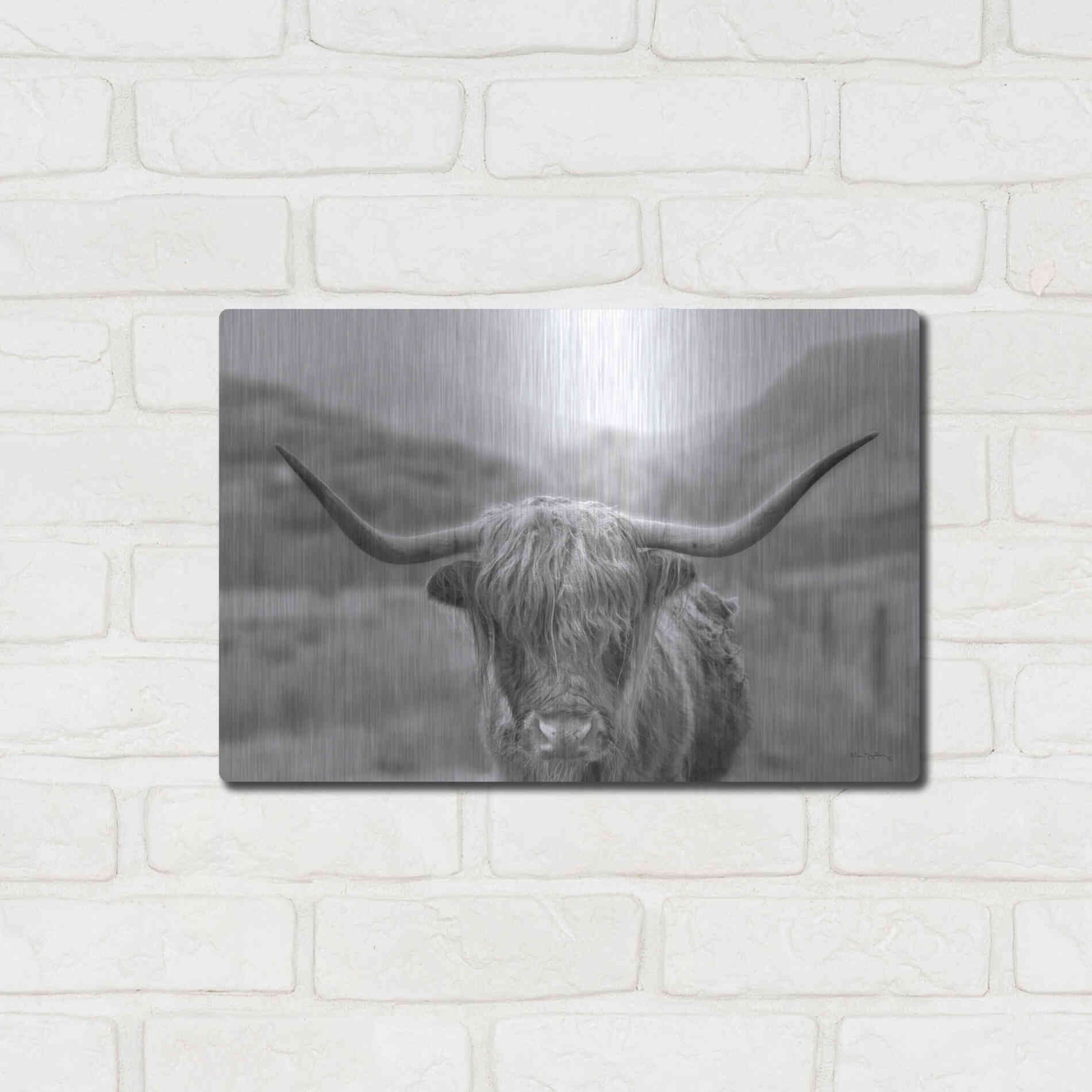 Luxe Metal Art 'Scottish Highland Cattle III Neutral Crop' by Alan Majchrowicz,Metal Wall Art,16x12