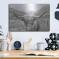 Luxe Metal Art 'Scottish Highland Cattle III Neutral Crop' by Alan Majchrowicz,Metal Wall Art,16x12