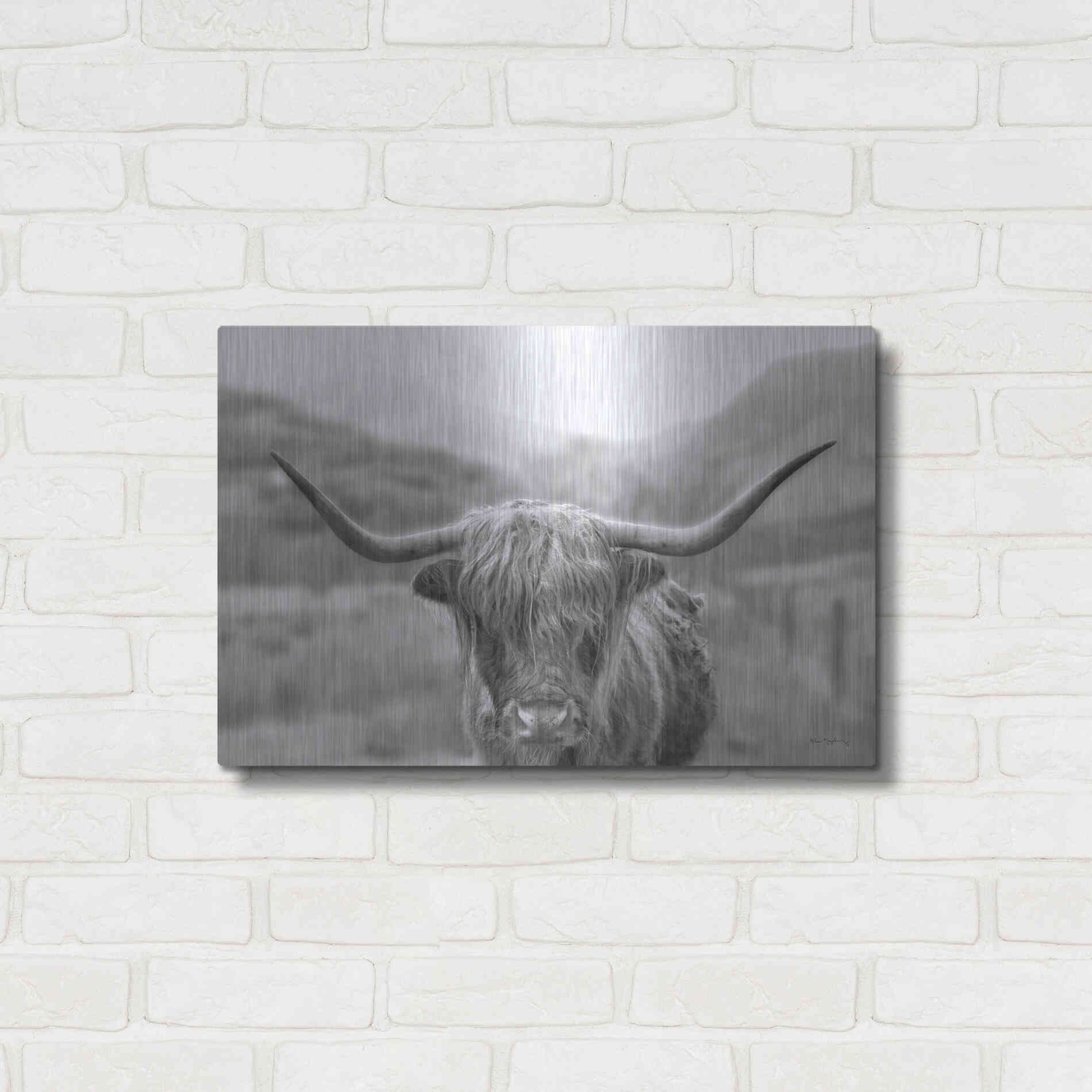 Luxe Metal Art 'Scottish Highland Cattle III Neutral Crop' by Alan Majchrowicz,Metal Wall Art,24x16