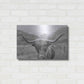 Luxe Metal Art 'Scottish Highland Cattle III Neutral Crop' by Alan Majchrowicz,Metal Wall Art,24x16