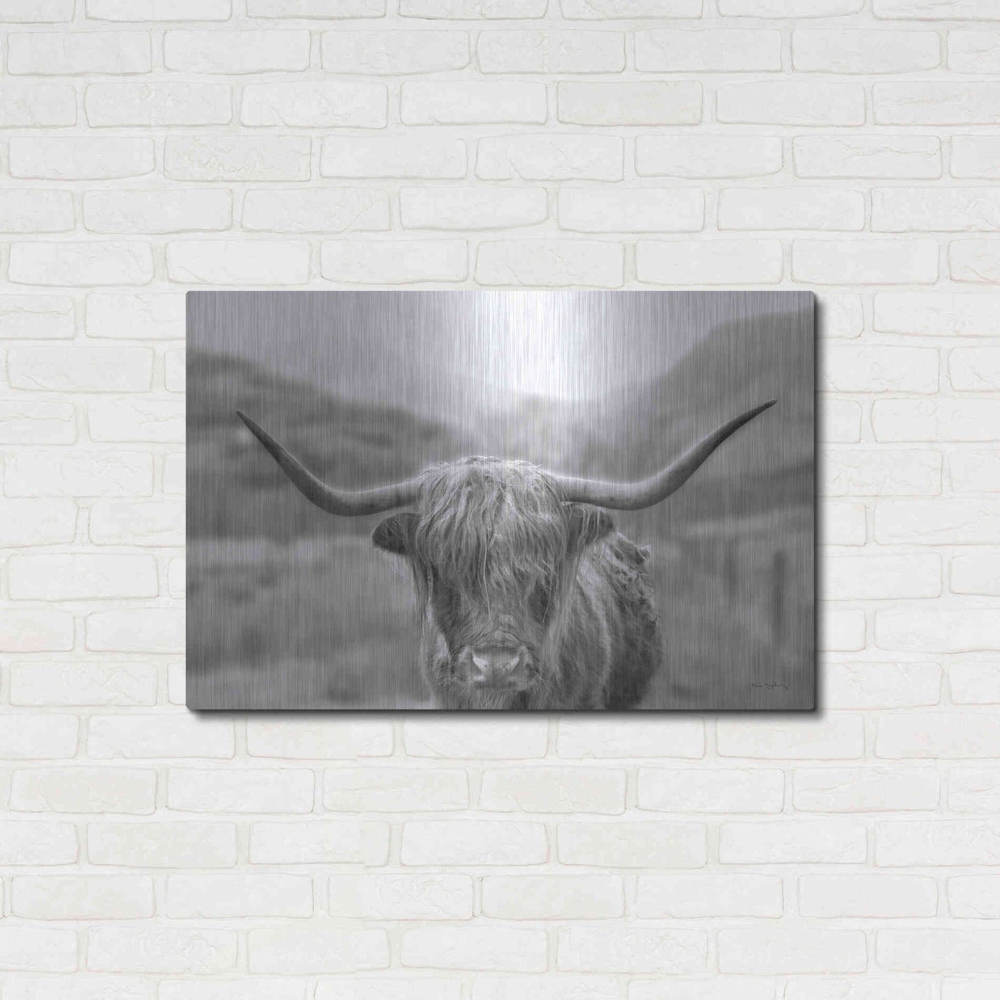 Luxe Metal Art 'Scottish Highland Cattle III Neutral Crop' by Alan Majchrowicz,Metal Wall Art,36x24