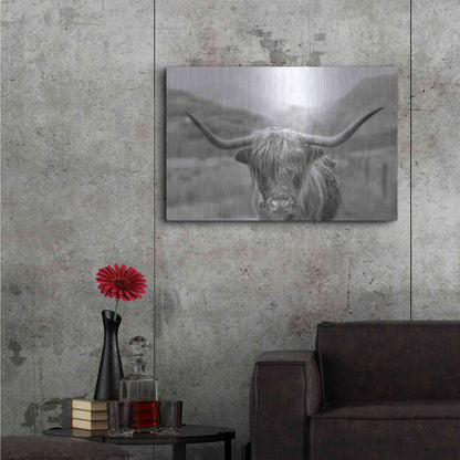 Luxe Metal Art 'Scottish Highland Cattle III Neutral Crop' by Alan Majchrowicz,Metal Wall Art,36x24