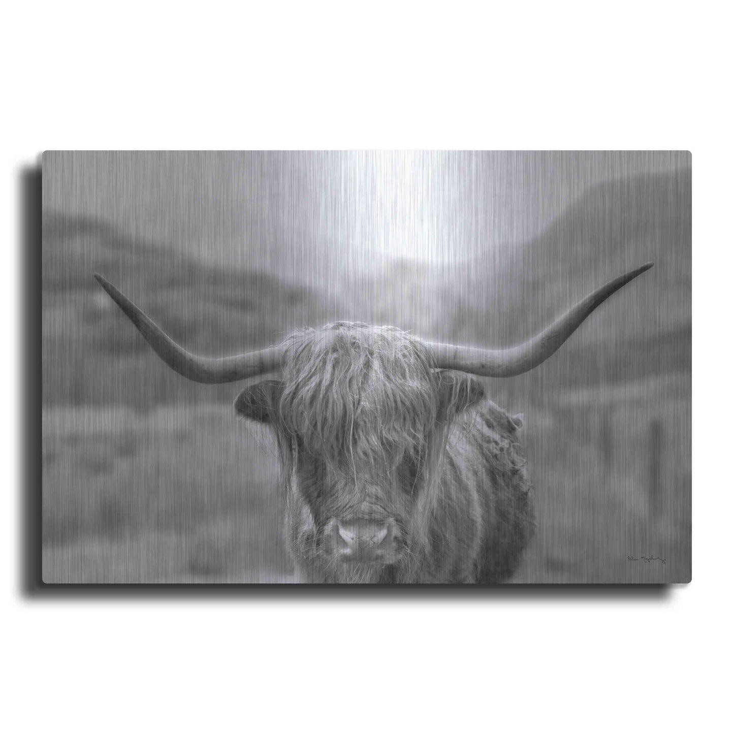 Luxe Metal Art 'Scottish Highland Cattle III Neutral Crop' by Alan Majchrowicz,Metal Wall Art